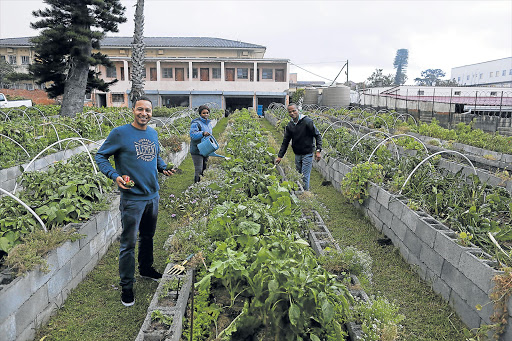 URBAN FARMERS: Vincent Heathcote, Phindiswa Nami and Mzikayise Fisa of non-profit organisation RuLIV have turned the organisation’s Southernwood backyard into a massive model food garden, proving that high-density living can yield nutritious planting Picture: STEPHANIE LLOYD