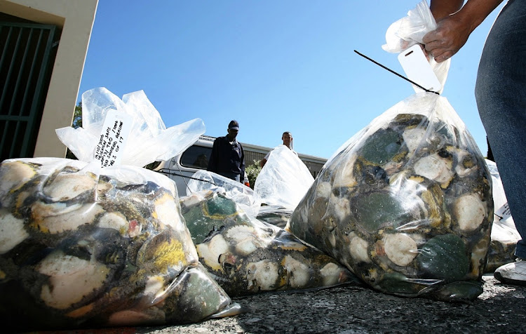 Five Gansbaai men will finally go to jail for between three and six years for their part in an abalone-poaching racket. They were convicted in 2010 and have been on bail since then, pending their appeal.