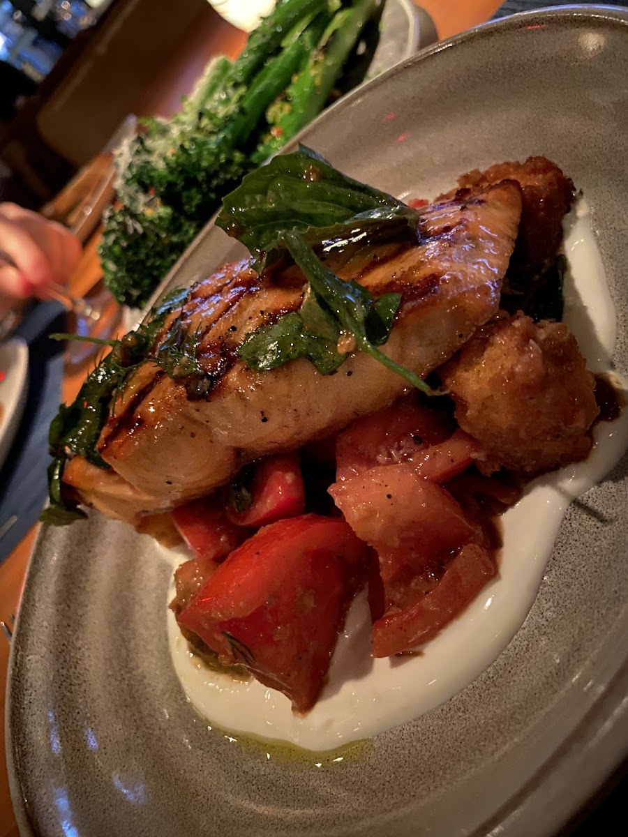 Grilled salmon with tomato provencal