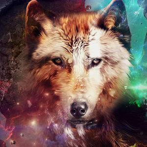 Gray Wolf Puzzle.apk 1.2