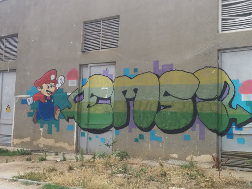 Emsi Mario Mural