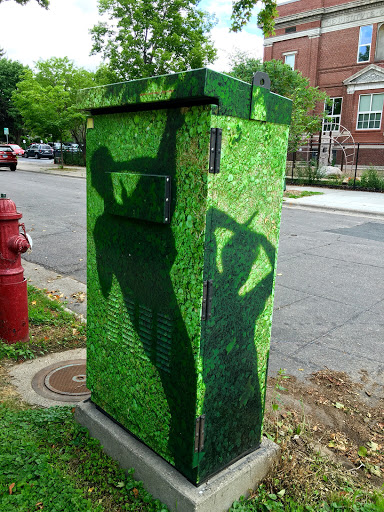 Peter Pan Painted Electrical Box