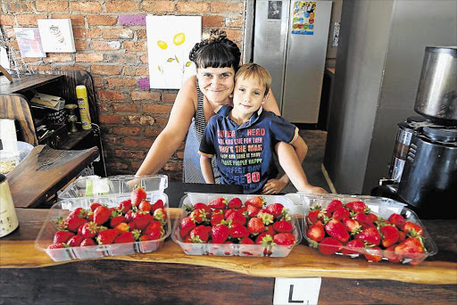 DEFIANT STRAWBERRIES: Molteno berry farmer Mandy Aucamp, co-owner of the ECDC-kickstarted Berry Nice Berry Company, with her son Jo, 7, and some of her succulent Albion strawberry plants which are flourishing in spite of the drought Picture: MARK ANDREWS