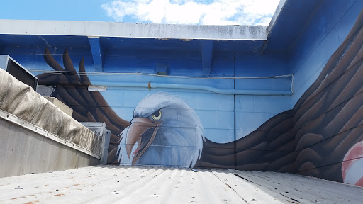 Bald Eagle Mural