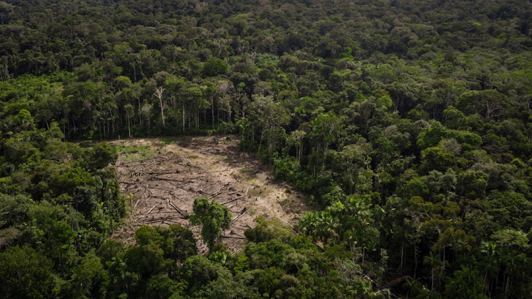 An aerial view of the deforestation and the destruction of habitats in Amazon. Picture: JUANCHO TORRES/ANADOLU AGENCY via GETTY IMAGES