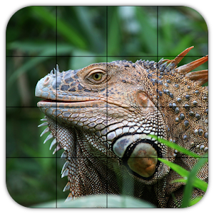 Tile Puzzles · Reptiles.apk 1.19.re