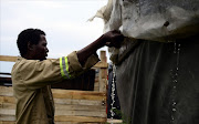 March 2017. Sello James shows Sowetan team his rickety shack at  Matsatseng   Informal   settlement  opposite the PPC plant. Pic: Tiro Ramatlhatse. © Sowetan