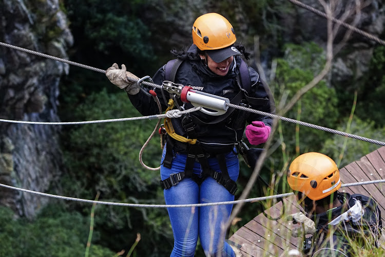 Cape Canopy Tours.