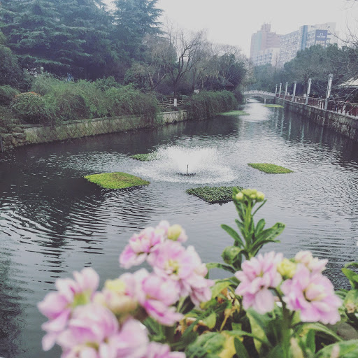 Spring 喷泉