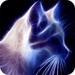 Sparkling cat live wallpaper Apk