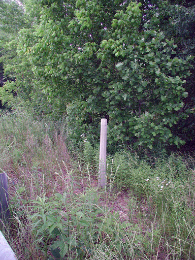 On Sautee Creek just north of here are remains of a dam constructed as part of a grist mill owned by Edwin P. Williams. During the War Between the States, to arm the Home Guard, Gov. Joseph E....