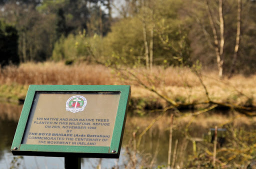 A plaque, near the entrance to Kiltonga nature reserve, marking the planting by the Ards Battalion of 100 trees to commemorate the organisations 100th anniversary in Ireland. © Copyright Albert...