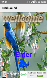 How to get Bird Sound 2.0 mod apk for laptop