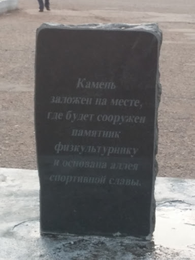 Памятник Физкультурнику