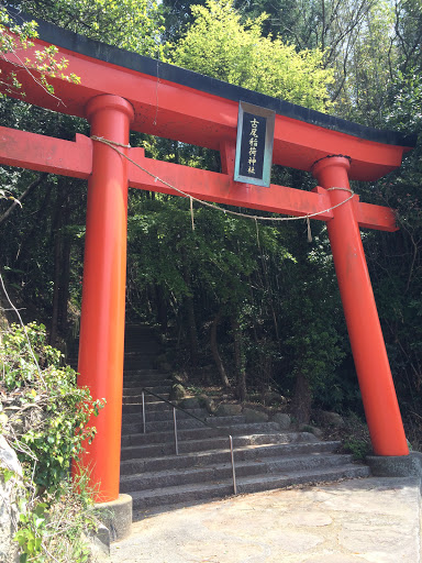 古尾稲荷神社 赤鳥居