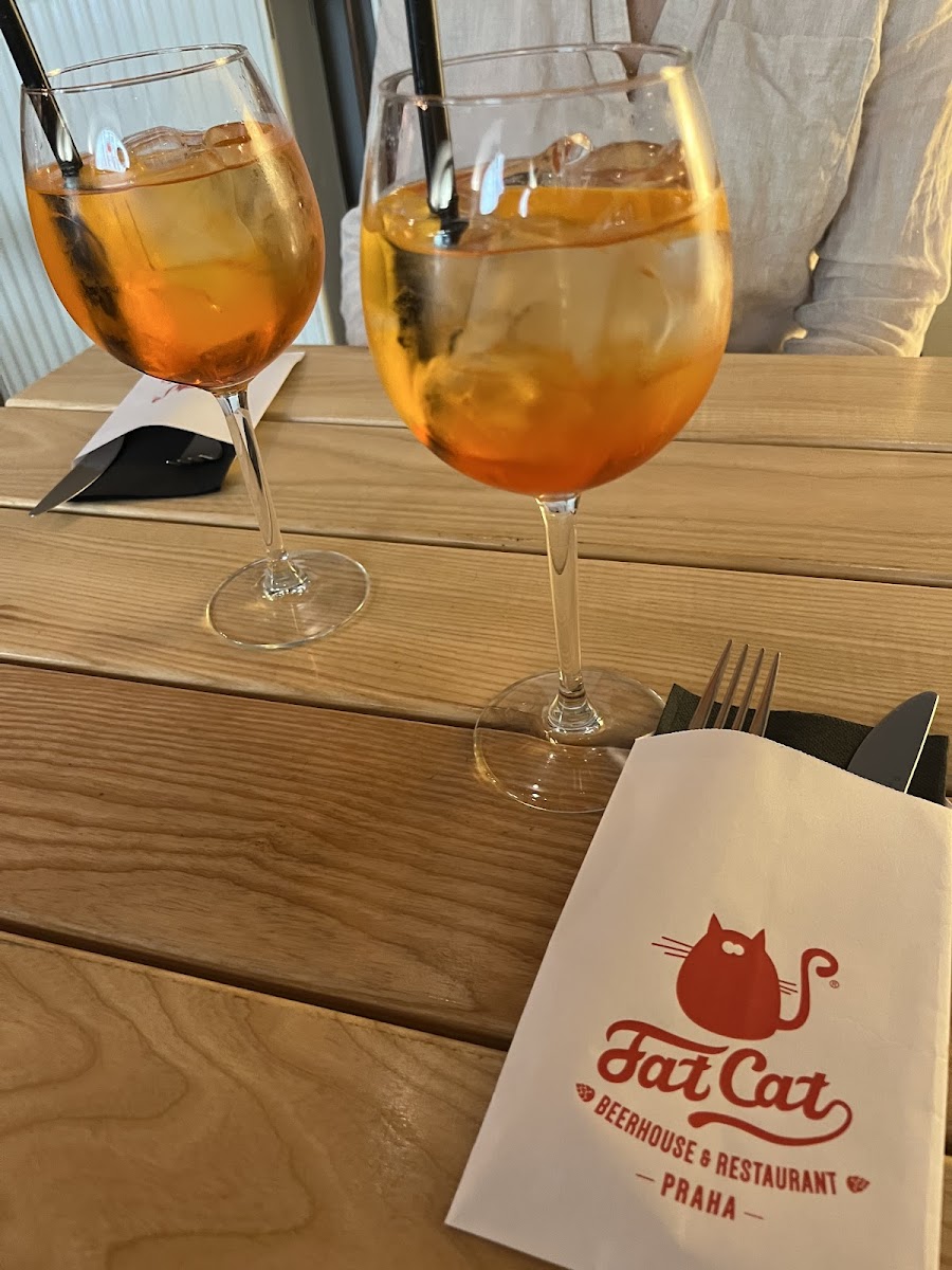 Gluten-Free at Fat Cat Beerhouse & Restaurant