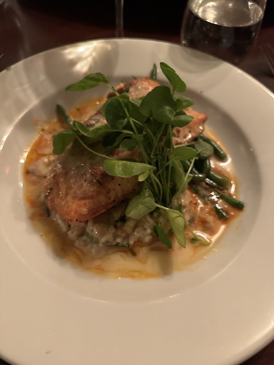 Salmon with risotto and green beans