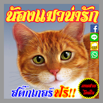 คอมเม้น น้องแมวน่ารักจัง Apk