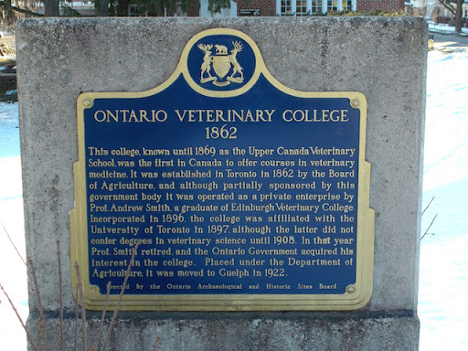 This college, known until 1869 as the Upper Canada Veterinary School, was the first in Canada to offer courses in veterinary medicine. It was established in Toronto in 1862 by the Board of...