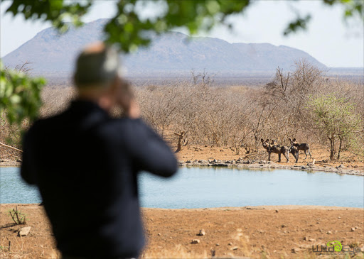Wild Eye’s expert-led photo workshops give wildlife enthusiasts the opportunity to flex their photographic muscles in the breathtaking surrounds of the Madikwe Game Reserve, Northwest Province.