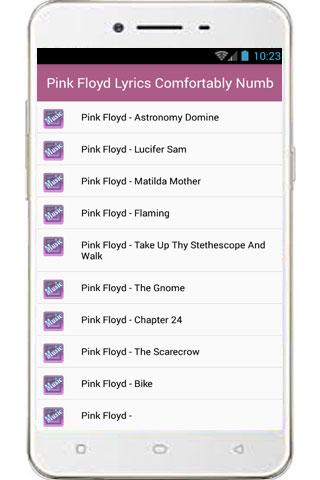Android application Pink Floyd Hits And Song screenshort