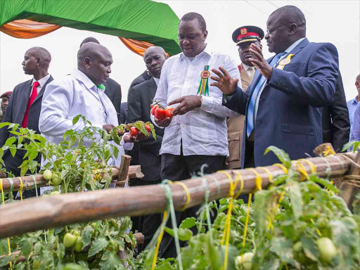 President Uhuru Kenyatta closely examines farm produce during a guided tour of Agriculture and Food Authority exhibition stands at the Mombasa International Show. PSCU