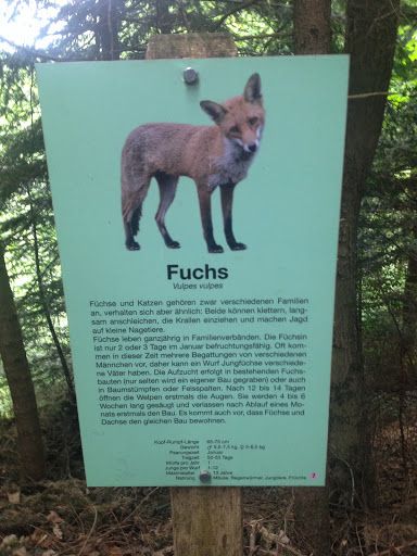 Fuchs