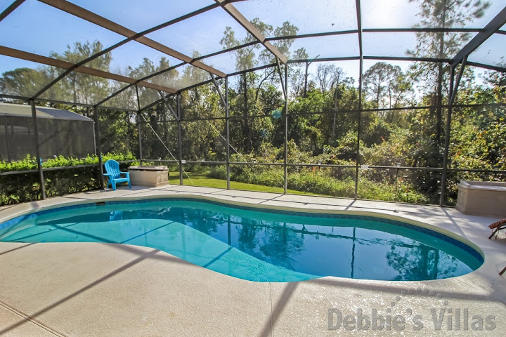 Scenic view from the south-facing private pool of this Davenport vacation villa