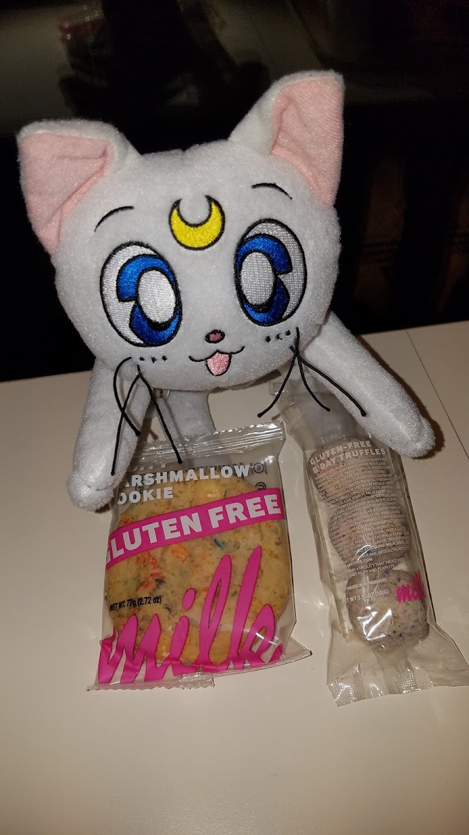 Artemis grabbed a gluten-free cookie and gluten-free truffle cake balls to bring back to Luna and Diana so yummy😻