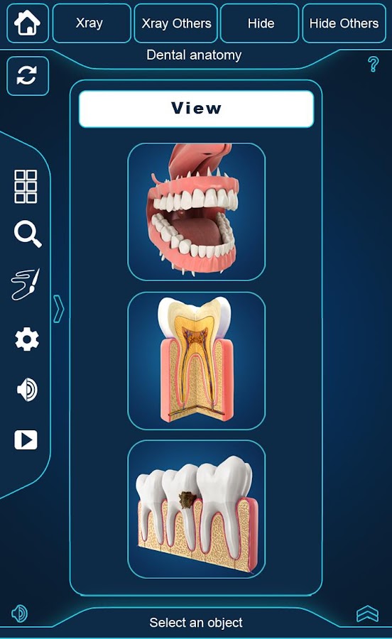 My Dental Anatomy — приложение на Android