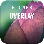 Flower Overlay Apk