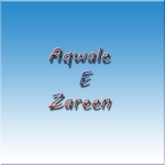 Aqwale E Zareen Apk