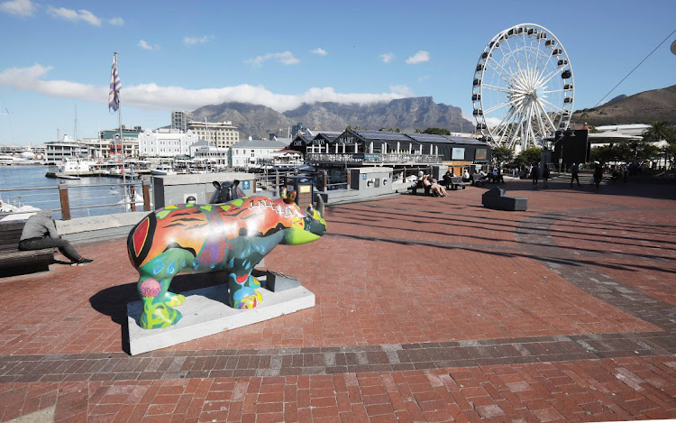 The V&A Waterfront in Cape Town. File photo.