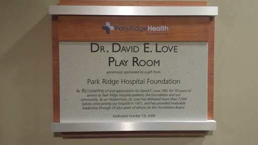 Dr. David E. Love Play Room at Park Ridge Hospital