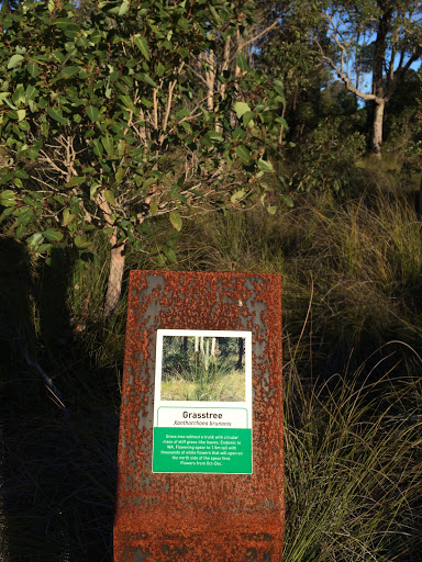 Grasstree Plaque