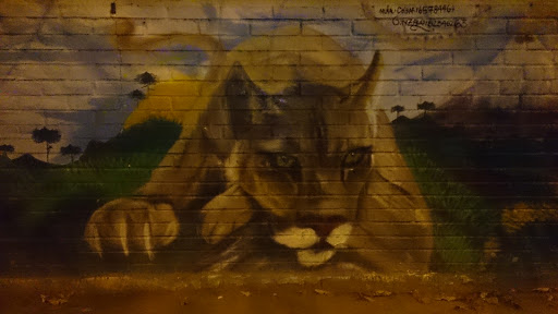 Graffiti Puma Chileno