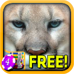 Cougar Slots - Free Apk