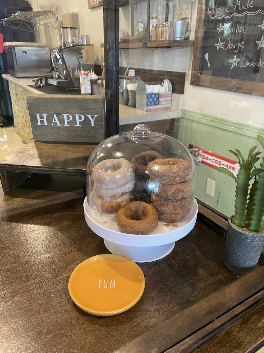 Gluten-Free Donuts at Green Spork Cafe & Market