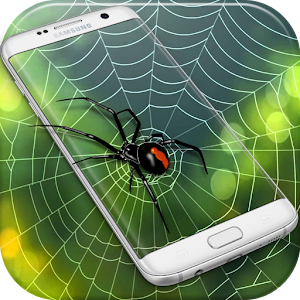 Download Spider Web Out For PC Windows and Mac