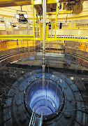 The reactor at the nuclear power plant in Muehleberg, Switzerland, during inspection last week Picture: REUTERS/Ruben Sprich