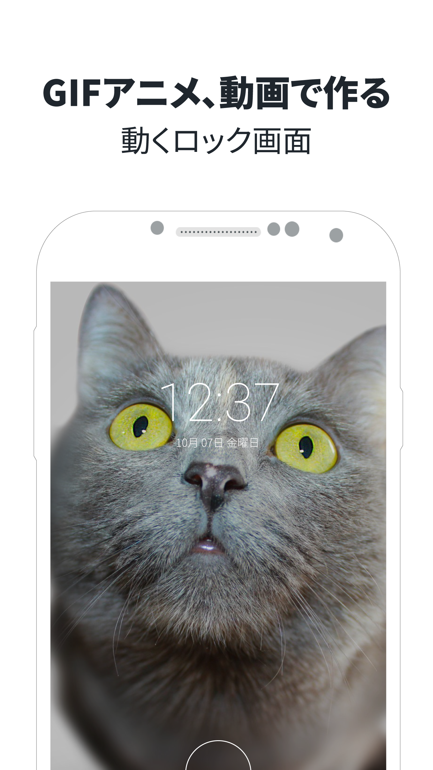 Android application ZOOP GIF locker screenshort