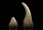 Rhino horn worth over R100m and other illicit goods were seized by custom officials at OR Tambo airport on Tuesday. 