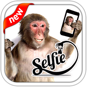 Download Selfie With Monkey For PC Windows and Mac
