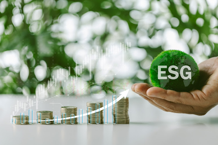 The goal of the 2024 Sanlam ESG Barometer report is to reshape investor perspectives and spotlight the proactive roles companies play in fostering sustainability. Picture: 123RF/THAINOIPHO