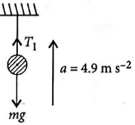 Solution Image