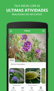 How to get Pragas do Amendoim 4.5.0 mod apk for laptop
