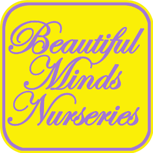 Download Beautiful Minds Nurseries For PC Windows and Mac