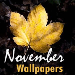 Download November wallpapers For PC Windows and Mac