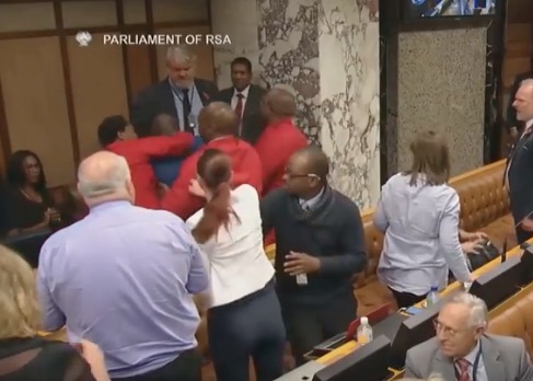 EFF and Agang SA parliamentarians fight during Cyril Ramaphosa's Q&A.