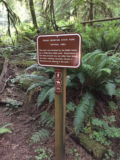 Squak Mountain State Park Natural Area
